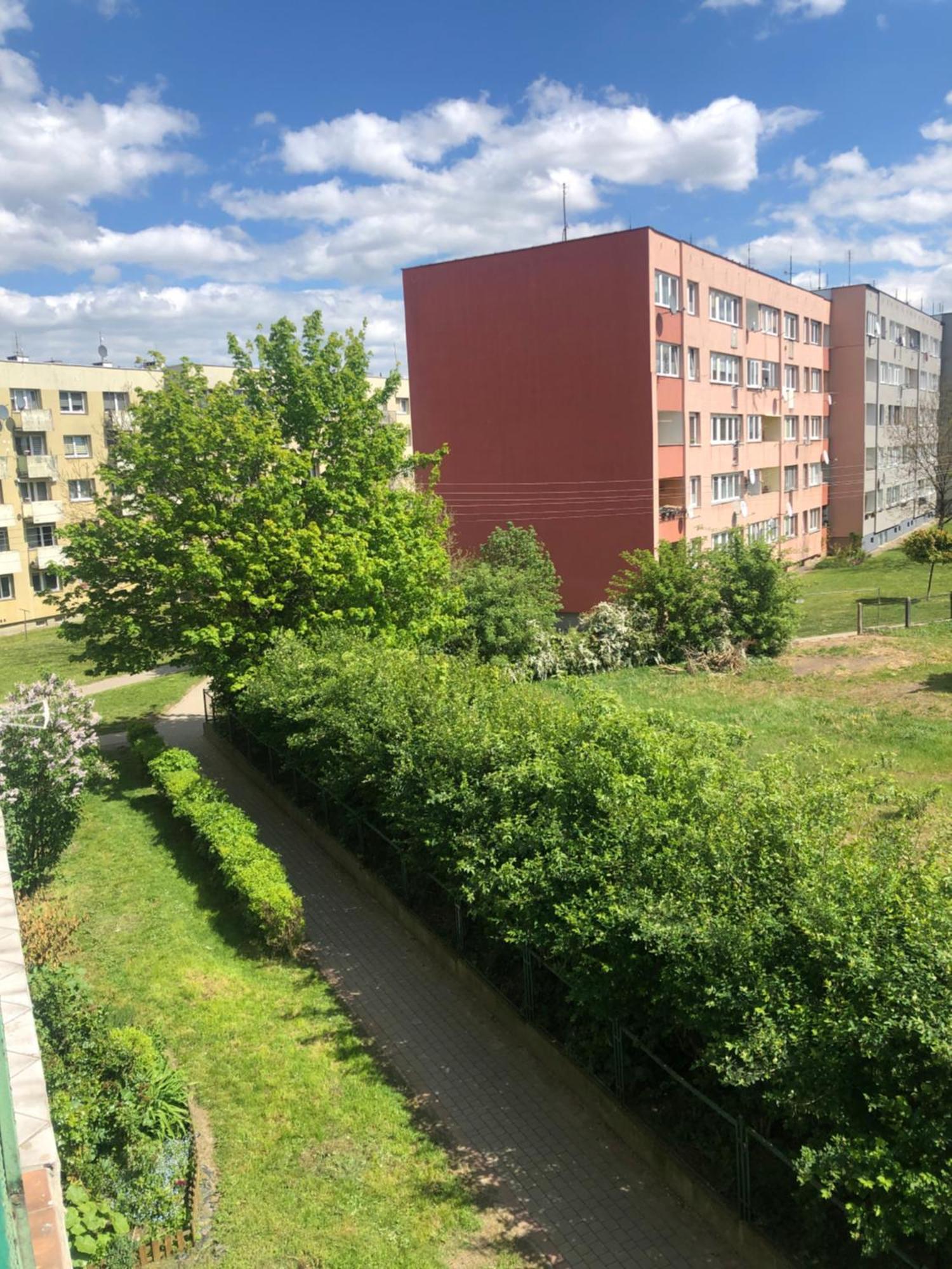 Noclegi Na Sudeckim Swiebodzice Exterior photo